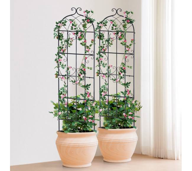 Metalinis sodo grotelės vijokliniams augalams 180x51 cm7