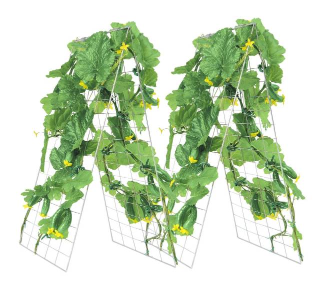 Sulankstomas agurkų treliažas sodo 90 x 140 cm10