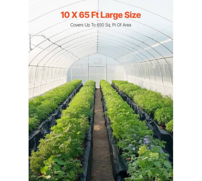 Plastiko plėvelės rulonas 10x65 pėdų2