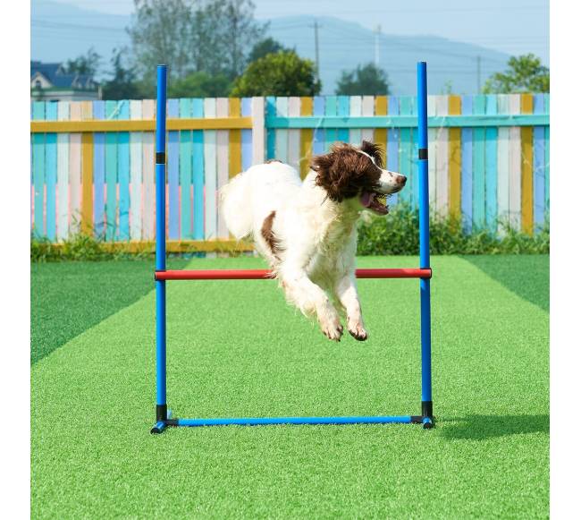 Šunų vikrumo treniruočių įranga 4 dalių rinkinys7