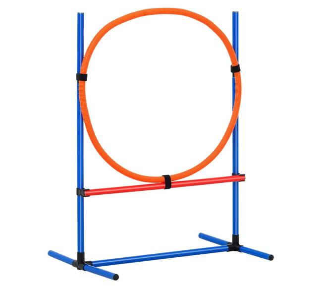 Šunų vikrumo treniruočių įranga 4 dalių rinkinys9