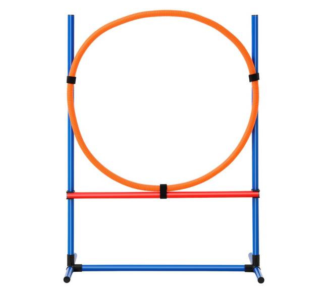 Šunų vikrumo treniruočių įranga 4 dalių rinkinys10