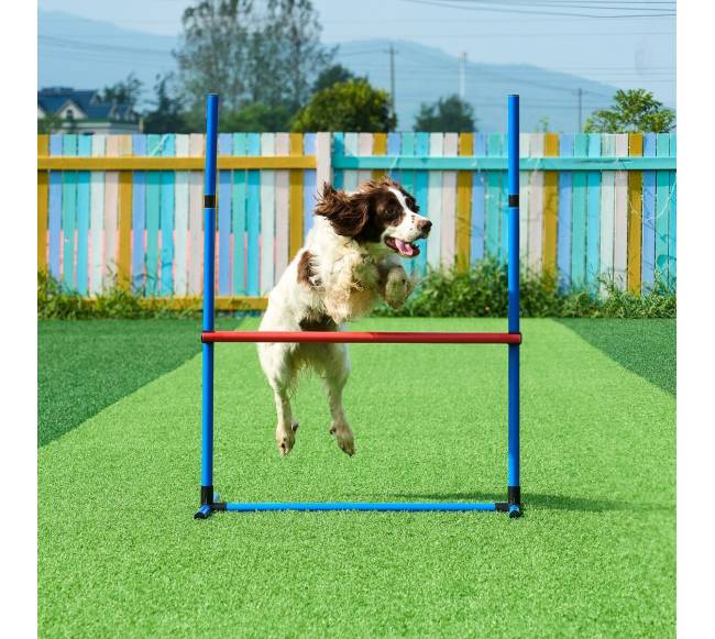 Šunų treniruočių įranga su kliūtimis7