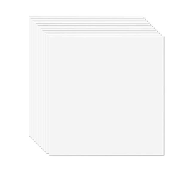 Baltos lubų plytelės iš pvc, 12 vnt.10