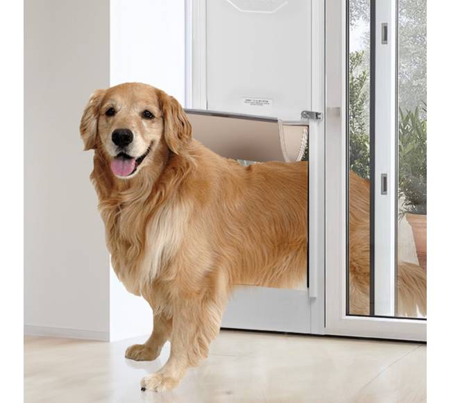 Šuns durys stiklinėms slankiojančioms durims7