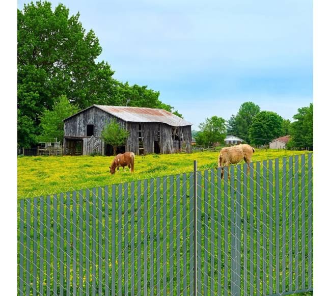 Grandininės tvoros privatumo juostos 4 dviguba siena7