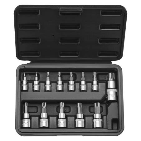 Torx galvučių komplektas 13 dalių T8 - T600