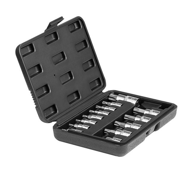 Torx galvučių komplektas 13 dalių T8 - T609