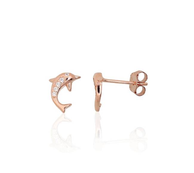 Sidabriniai auskarai –pusetai0