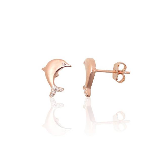 Sidabriniai auskarai –pusetai0