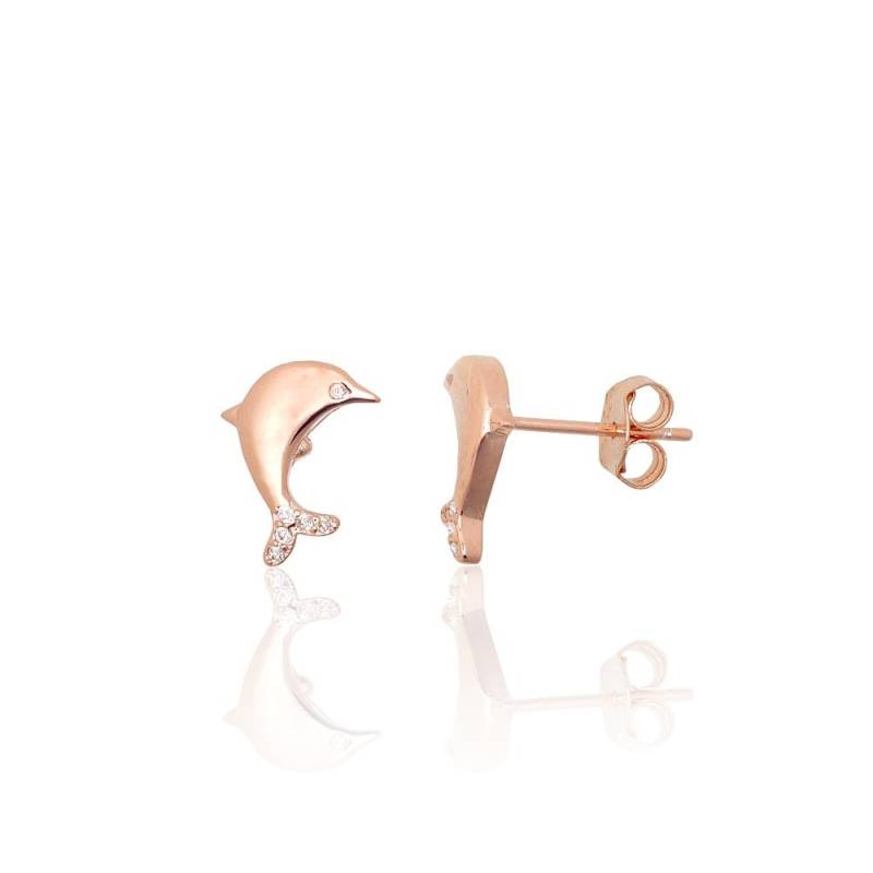 Sidabriniai auskarai –pusetai0