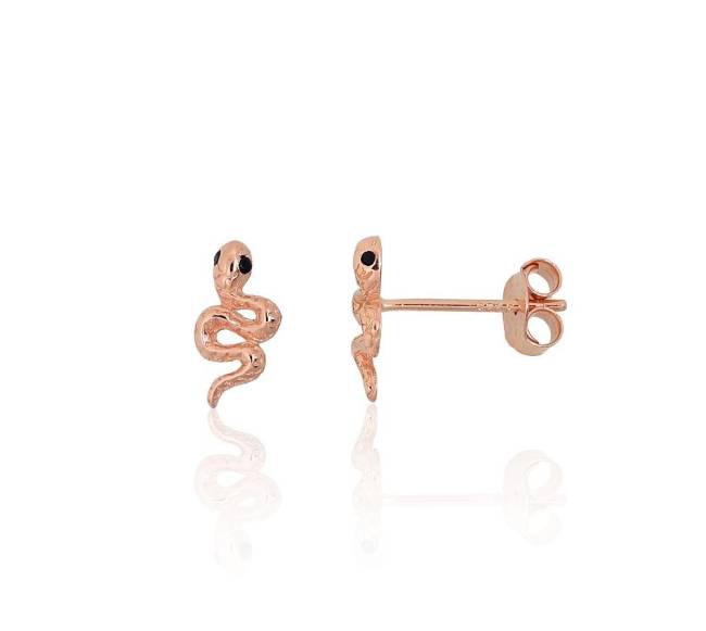 Sidabriniai auskarai –pusetai0