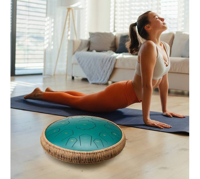 Plieninis liežuvėlių būgnas C-dur 15 natų7