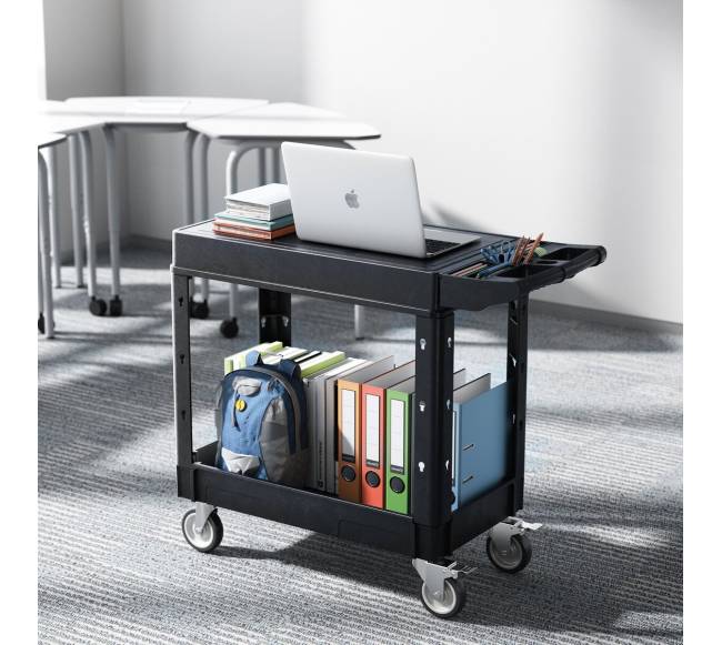 Dvigubas naudingumo vežimėlis 250 kg7