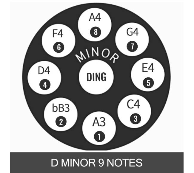 Rankų būgnas D mažorės 9 natų su dėklu2