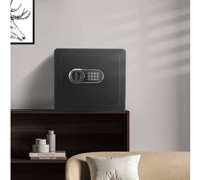 Namų seifas su skaitmenine spyna7