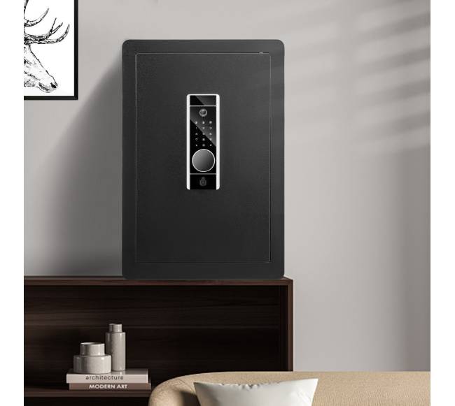 Namų seifas su pirštų atspaudu ir klaviatūra7