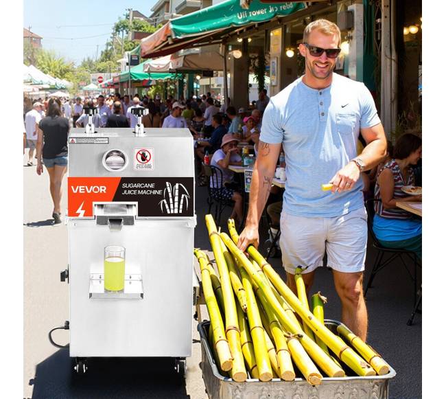 750W elektrinis cukranendrių sulčiaspaudė7