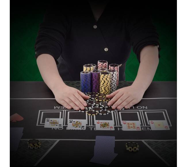 500 dalių pokerio komplektas su dėklu7
