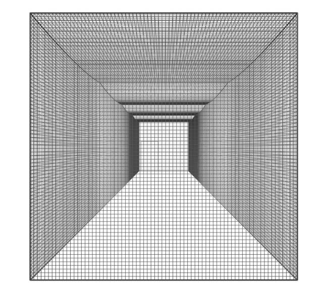 Beisbolo treniruočių tinklas 55 pėd.9