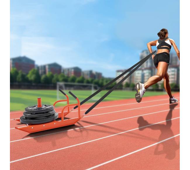 Atsparumo treniruotėms traukiamoji rogių sistema7