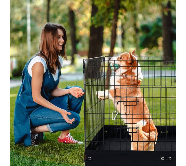 Sulankstomas 4 dalių metalinis augintinių žaidimų maniežas7