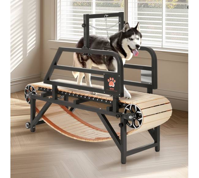 Šunų bėgimo takelis vidutiniams šunims iki 100 kg7