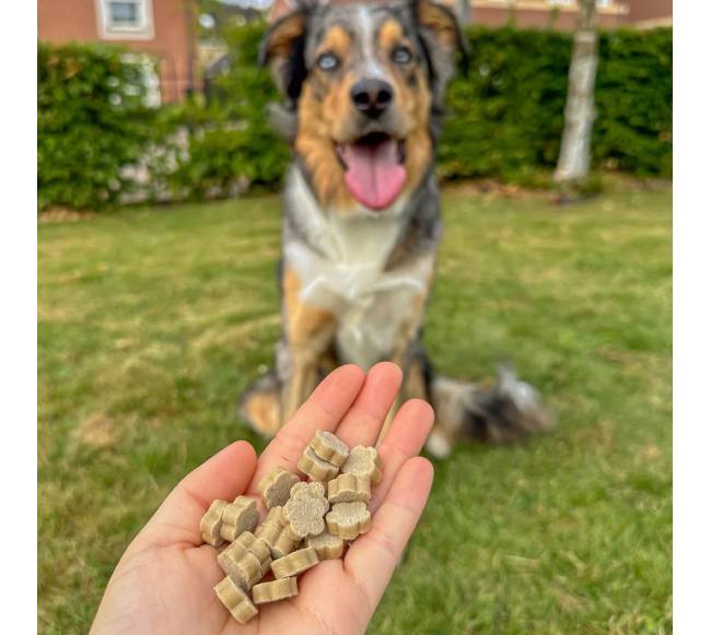 SOOPA Obuolių ir mėlynių skanėstai šunims, Apple - Blueberry Dog Dental Sticks, 50g2