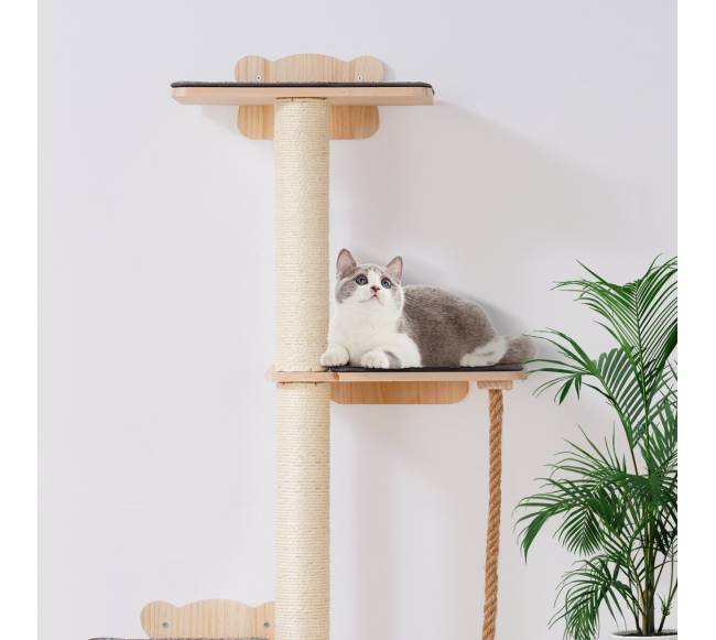 Sieniniai kačių lentynos su platforma7