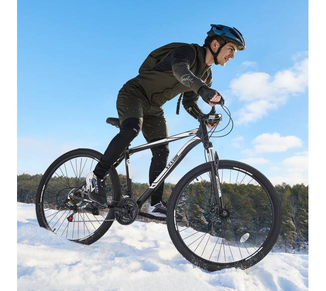 29" kalnų dviratis su Shimano 21 pavaromis7