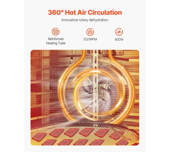 12 padėklų maisto džiovykla iš nerūdijančio plieno 800W1