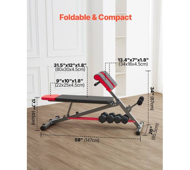 Reguliuojamas romėniškas suolas pratimams6