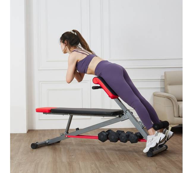 Reguliuojamas romėniškas suolas pratimams7