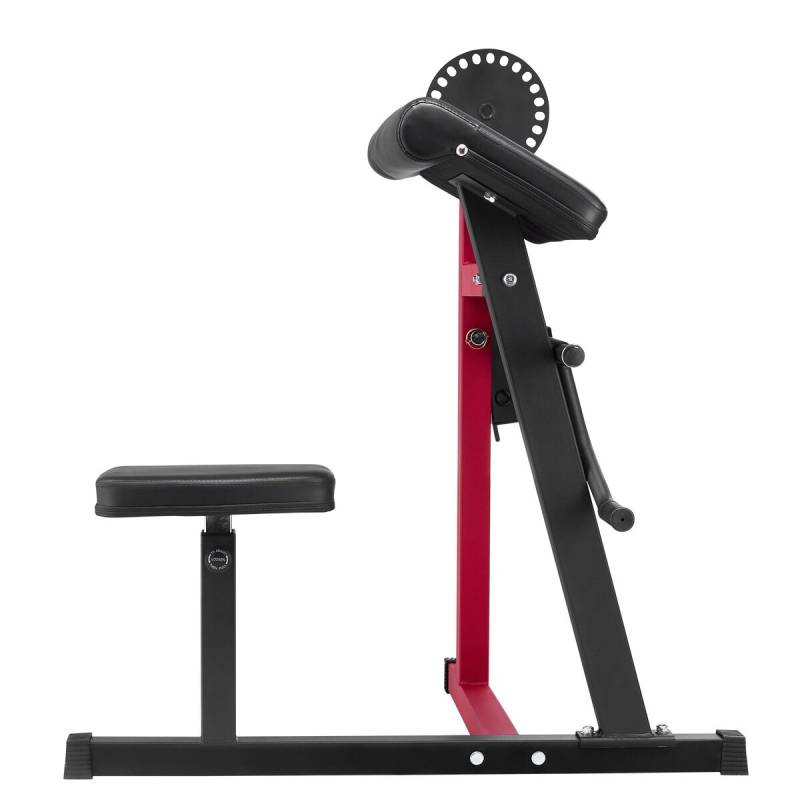 Dvikryptė štangos suolelis bicepsų ir tricepsų pratimams0