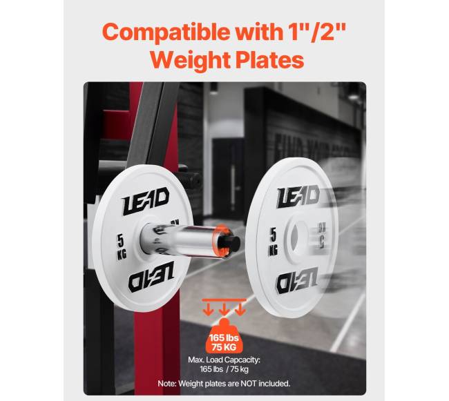 Dvikryptė štangos suolelis bicepsų ir tricepsų pratimams5