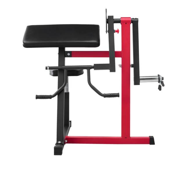 Dvikryptė štangos suolelis bicepsų ir tricepsų pratimams9