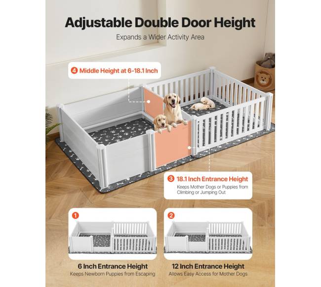 šunų vėlyknamio dėžė, 2 kambarių3