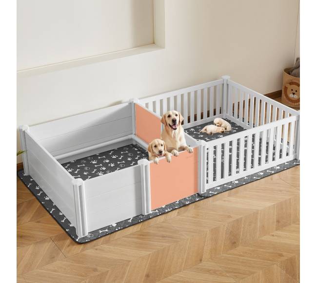 šunų vėlyknamio dėžė, 2 kambarių7