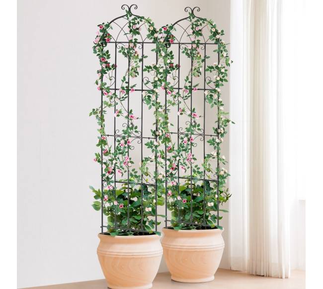 Metalinė sodo atrama vijokliniams augalams 220x51 cm7