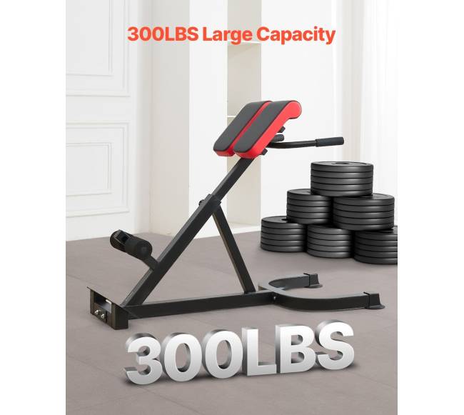 Reguliuojamas romėnų suolelis nugaros pratimas2