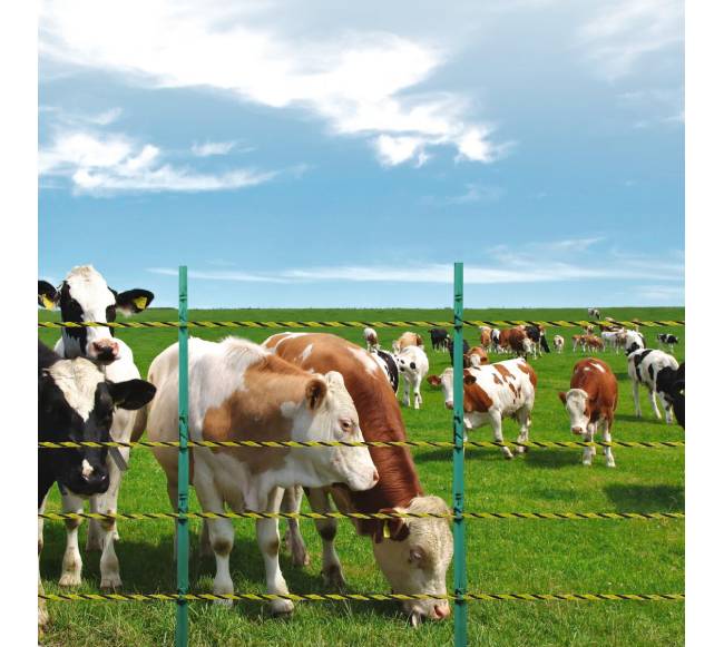 Elektrinis tvoros laidas gyvuliams7