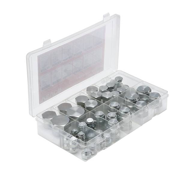 64 vnt. BSPP hidraulinių kištukų rinkinys9