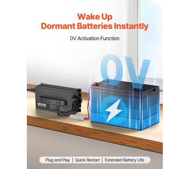 24V 20A ličio baterijos įkroviklis RV3