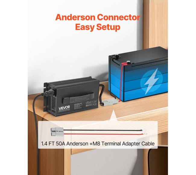 24V 20A ličio baterijos įkroviklis RV5