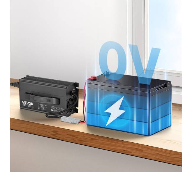 24V 20A ličio baterijos įkroviklis RV7