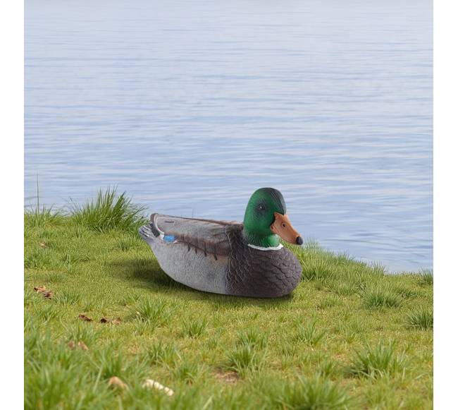 Medžioklės plastikinė antis plūduriuojanti7