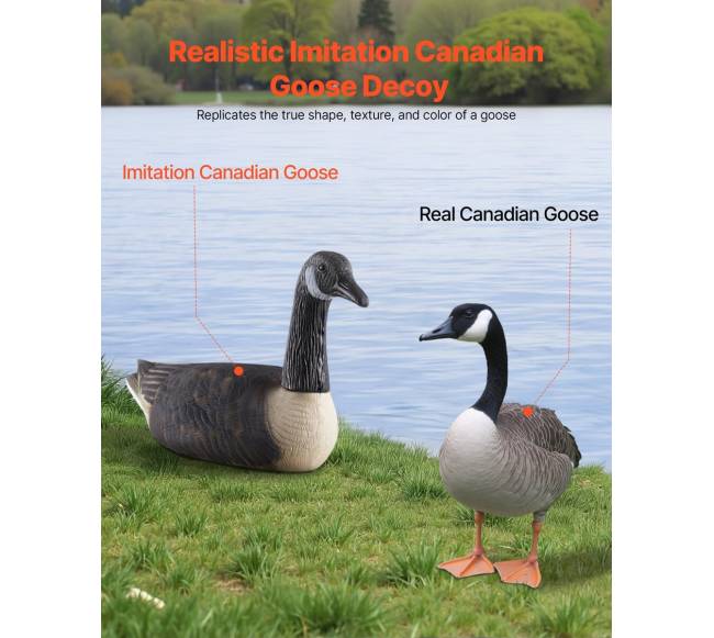 Kanados žąsų masalas plaukiojantis 6 vnt.1