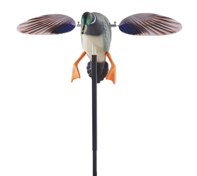 Sukamojo sparno ančių baidyklės medžioklei0