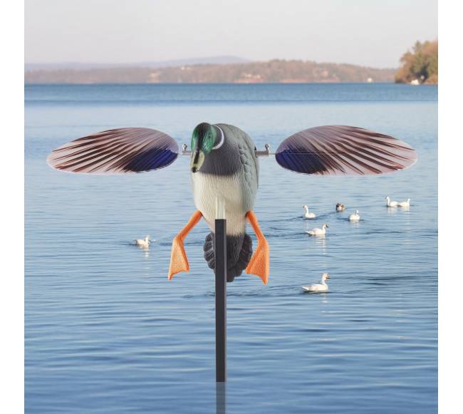 Sukamojo sparno ančių baidyklės medžioklei7