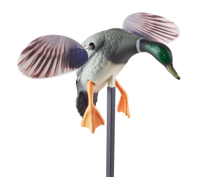 Sukamojo sparno ančių baidyklės medžioklei8